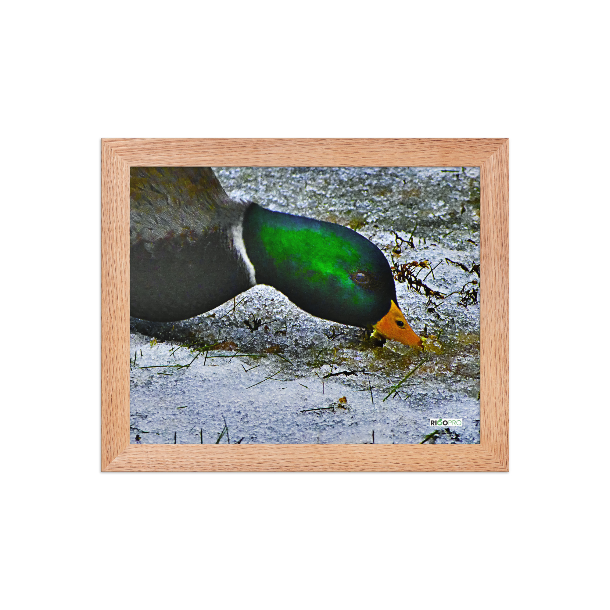 Framed poster - Image 2